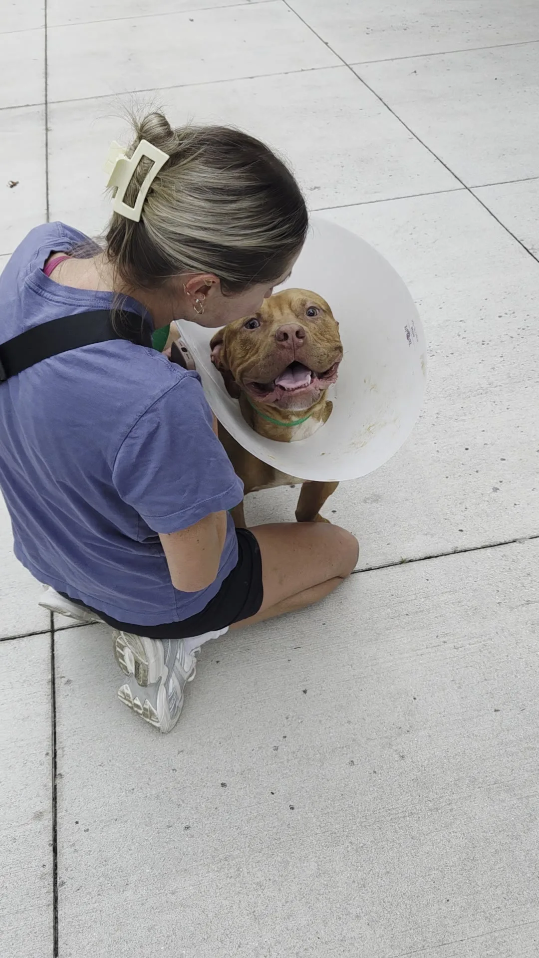Hooch saying goodbye before leaving Fort Lauderdale