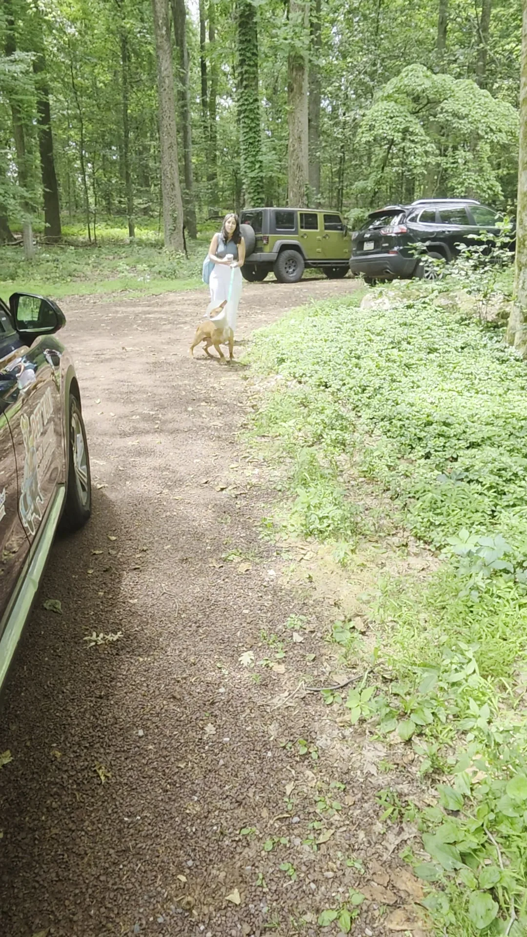Hooch at his new home surrounded by nature